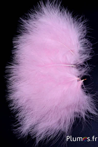 Tacchino marabù – 8-12 cm – rosa chiaro